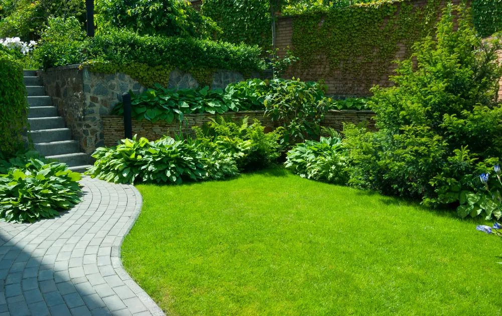 Jardin paysager avec allée en pavés, pelouse et massifs arbustifs