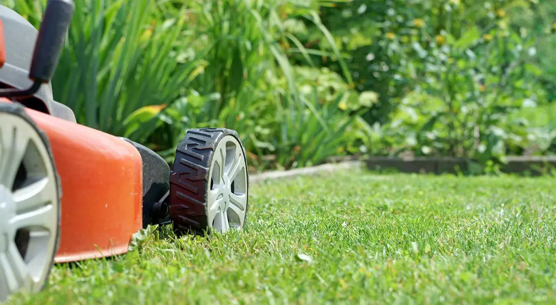 Petit jardin entretenu dans un quartier pavillonnaire de Houilles