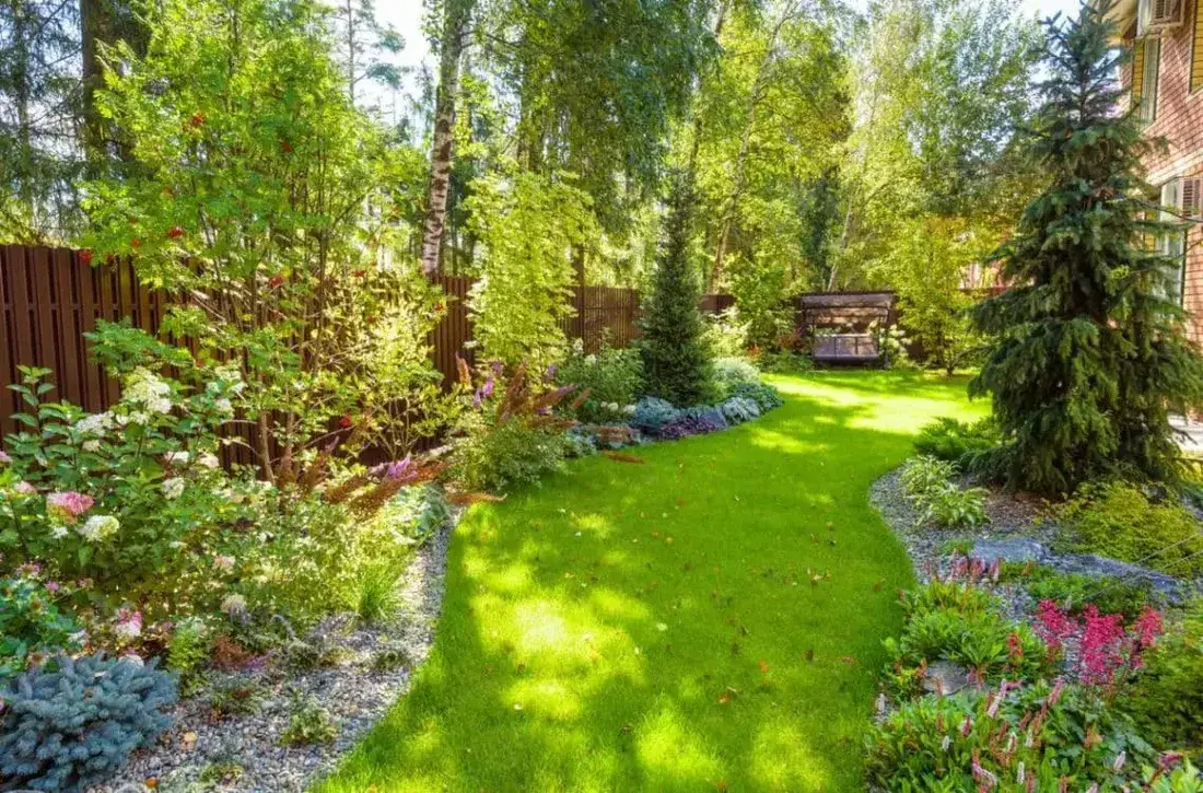 Jardin arboré fermé par une clôture en panneaux de bois