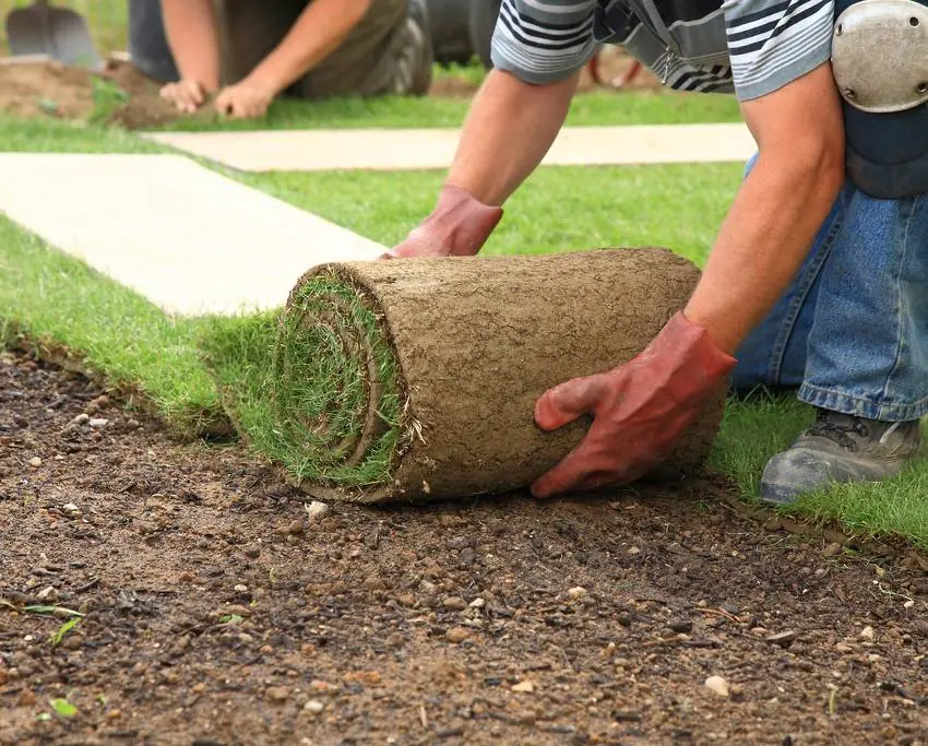 Préparation du sol et pose de gazon en rouleaux